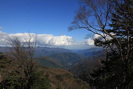 大菩薩嶺-20101103-122843
