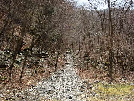 c-110504-120419 登山口付近