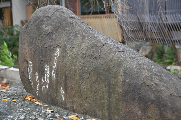 20171104京都（祇園、白川）2