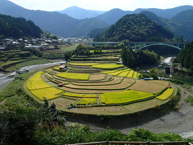 あらぎの棚田_20140922