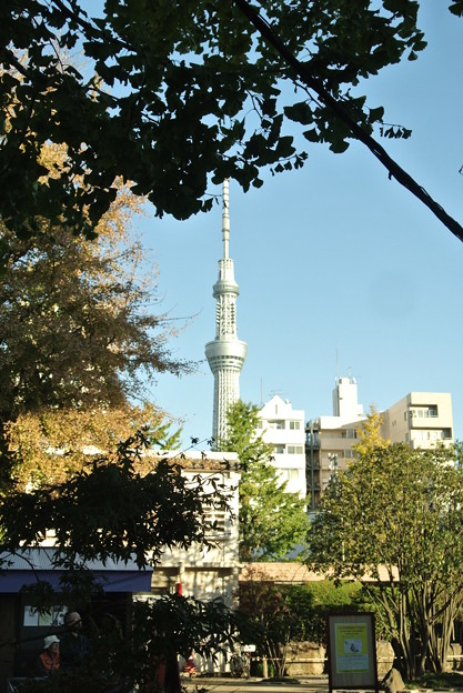 20141114_126