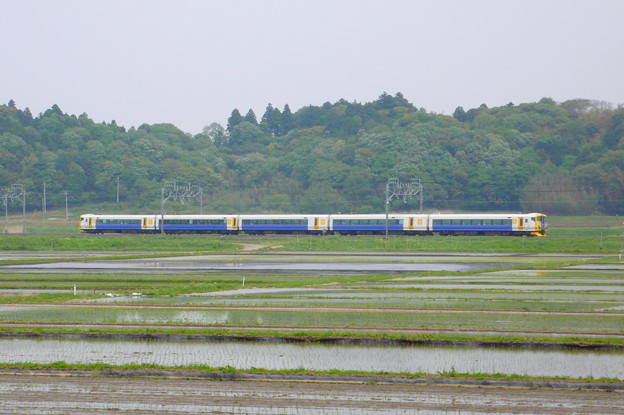 E257系　特急しおさい（総武本線）（2010年5月撮影）