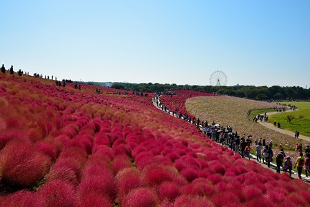 みはらしの丘
