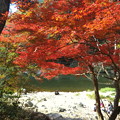 親水公園の河原