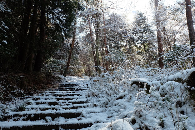 新雪の登山道