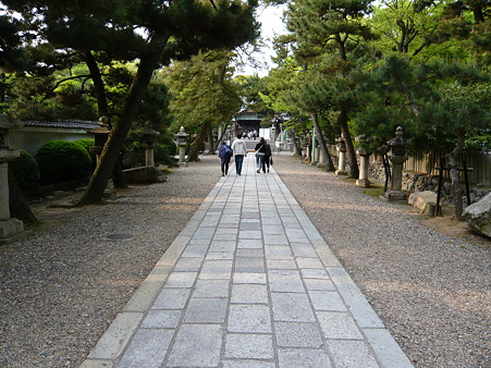 御香宮神社 (9)