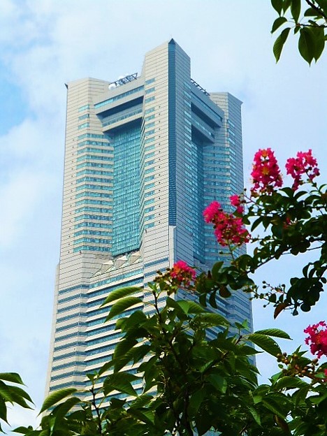 横浜ランドマークタワーと百日紅