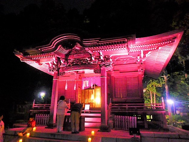 御霊神社 本堂ライトアップ