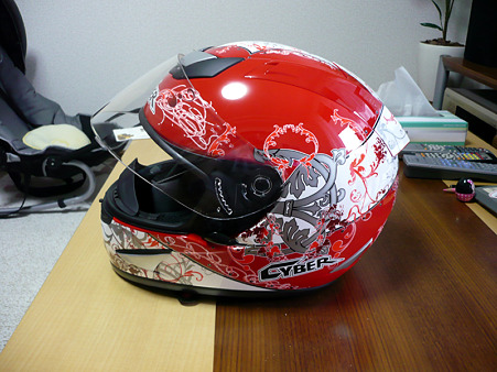 helmet6