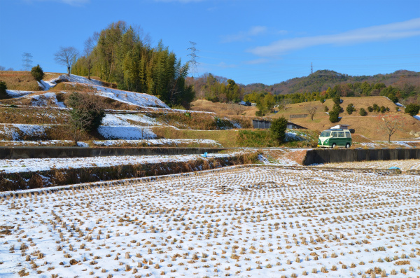 翌朝には積雪はすでにこんなに少なくなった