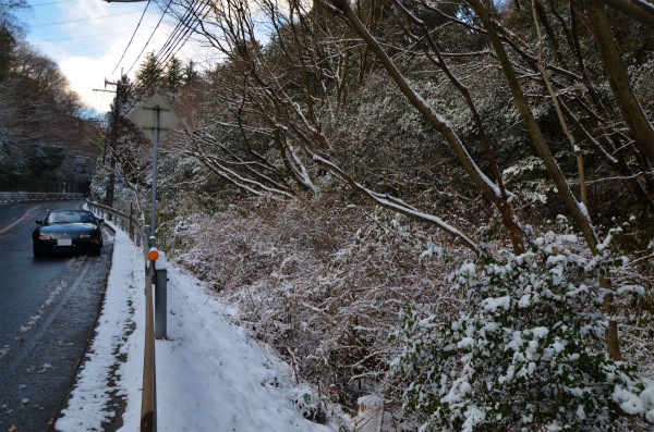 この辺りにはまだ雪が多めに残っている