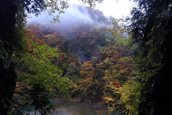 崖の狭間からの紅葉の景色