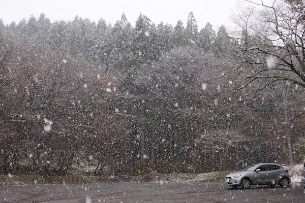 激しく降る雪