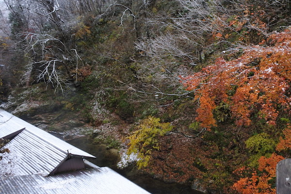 赤と黄色の紅葉と、雪景色を同時に楽しめた