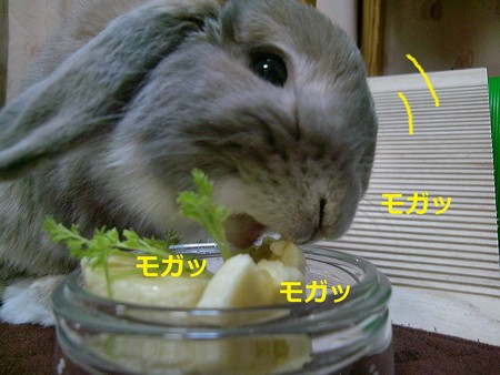 誕生日8
