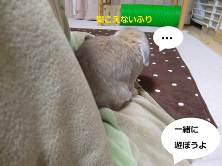 たそがれ1