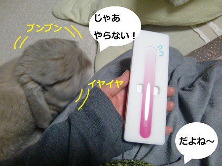 ネイル5