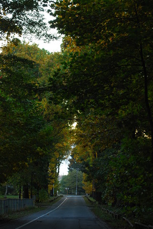 DSC_0761