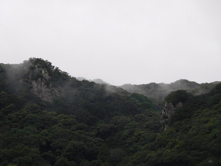 DSCN2761