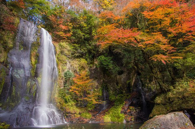 Photos: 遊水自然の森カッパ滝♪