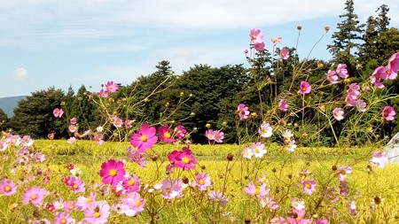IMG_20170924_092436