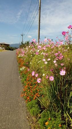 IMG_20170924_092528