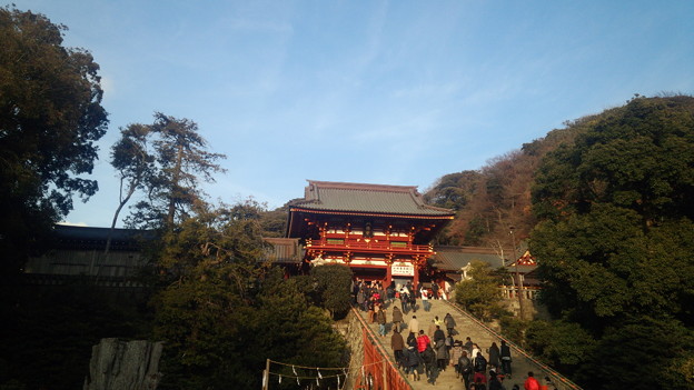 写真: DSC_0160