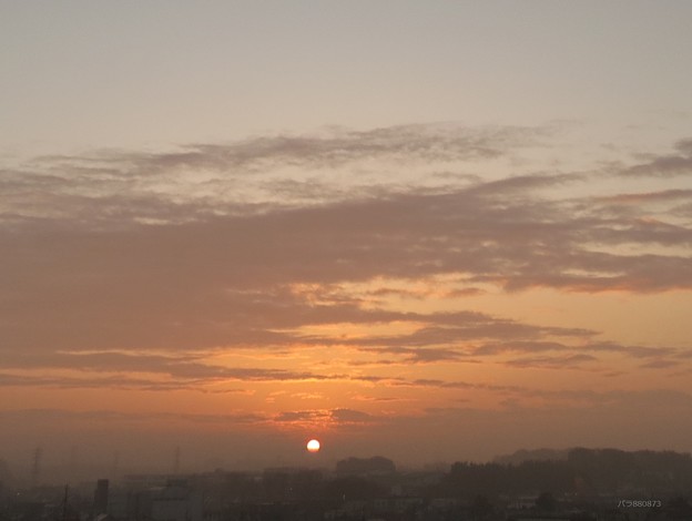 霧から朝陽
