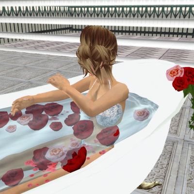Snapshot_270