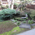 Photos: 万年青の縁庭園（右側）2