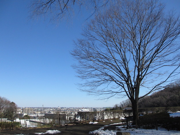 城山公園八の丸より