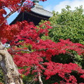 紅葉　奈良