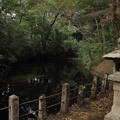 Photos: 住吉神社の堀