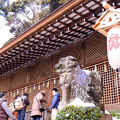 Photos: 宇治上神社本殿