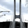 元日の尾瀬大橋の吊橋