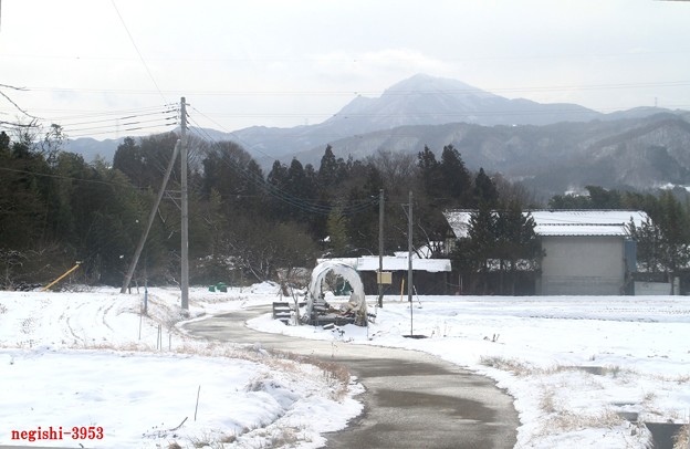 Photos: 沼田の雪景色２