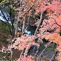Photos: 渓谷の紅葉