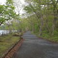 Photos: 140518-7東北ツーリング・十和田湖・乙女の像への道