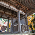 Photos: 金剛輪寺（8）　二天門と本堂